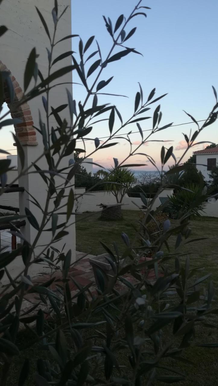 Villa Dolly Porto Columbu - Perd'E Sali Exteriör bild
